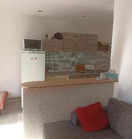 App Pod Borovou Apartment *
