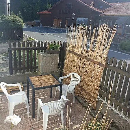 App Pod Borovou *