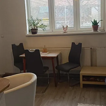 App Pod Borovou